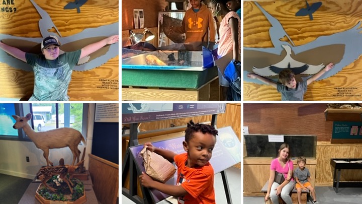 Collection of images of children looking through exhibits.