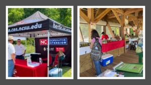 Cover photo for Bertie County Riverfest