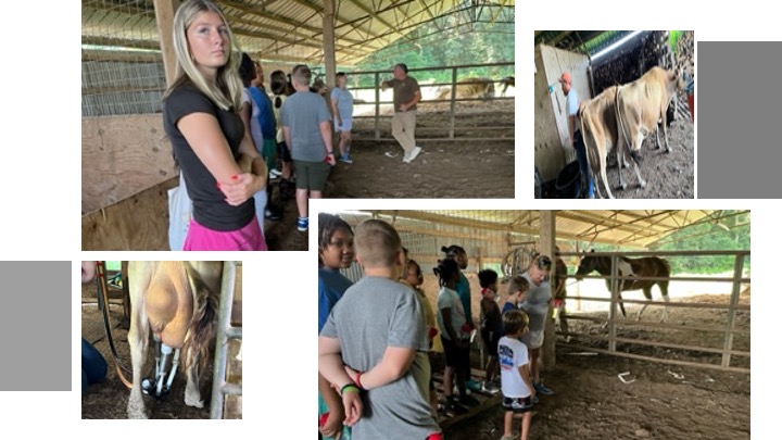 Collage of campers taking a tour of a dairy farm