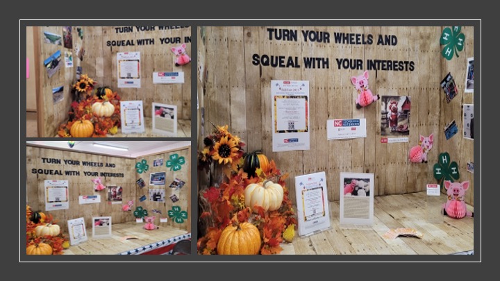 Turn your Wheels and Squeel with your Interests display