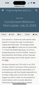 Cover photo for Moth Flight Virginia Report Peanut Notes No. 172 2024