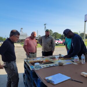 Cover photo for Additional Peanut Maturity Clinic