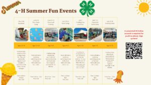Cover photo for Dive Into Summer Fun With Bertie County 4-H Summer Camps!