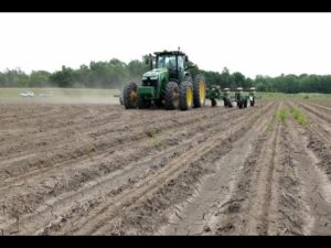 Tractor in wet field